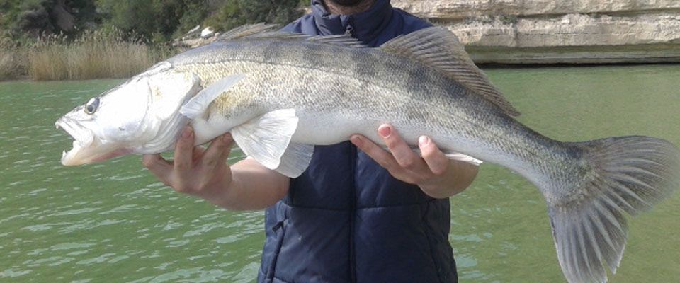 pescar-en-el-ebro